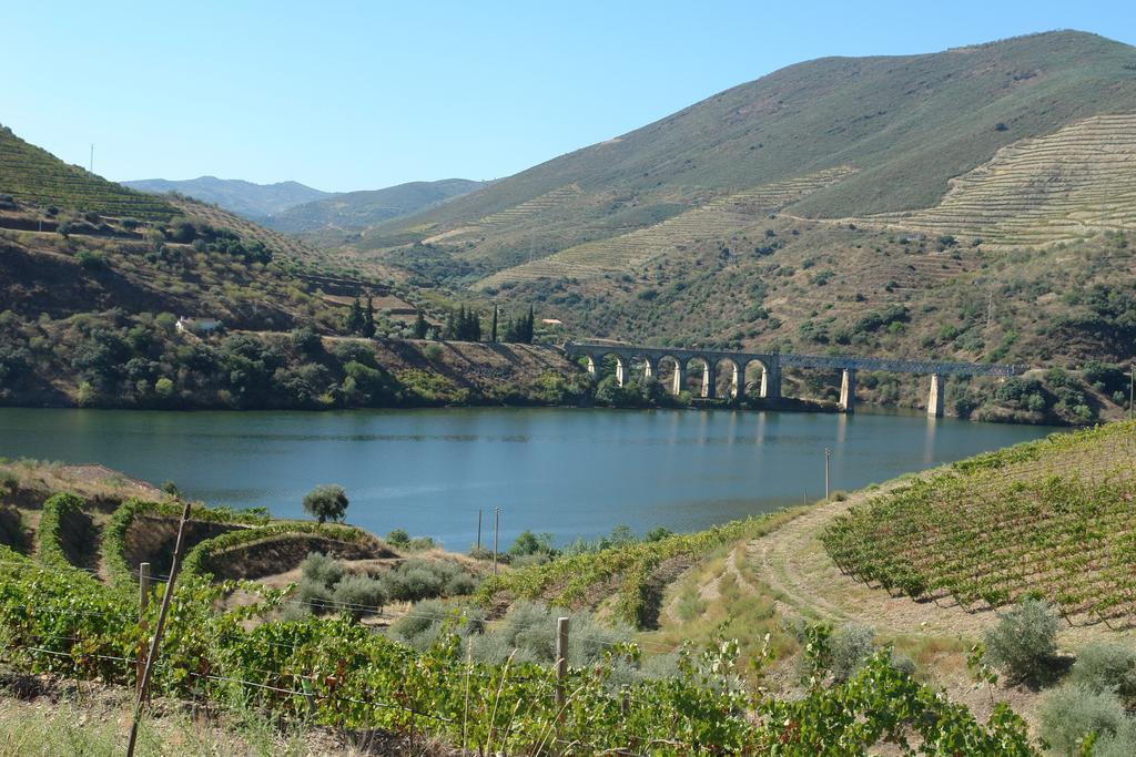 Quinta Vale De Carvalho ξενώνας Pinhal do Douro Εξωτερικό φωτογραφία