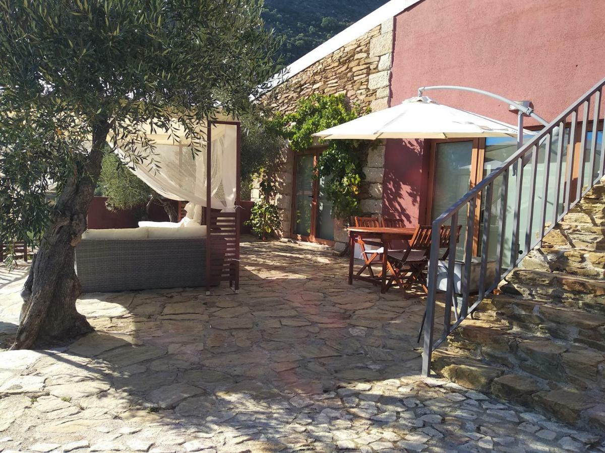 Quinta Vale De Carvalho ξενώνας Pinhal do Douro Εξωτερικό φωτογραφία