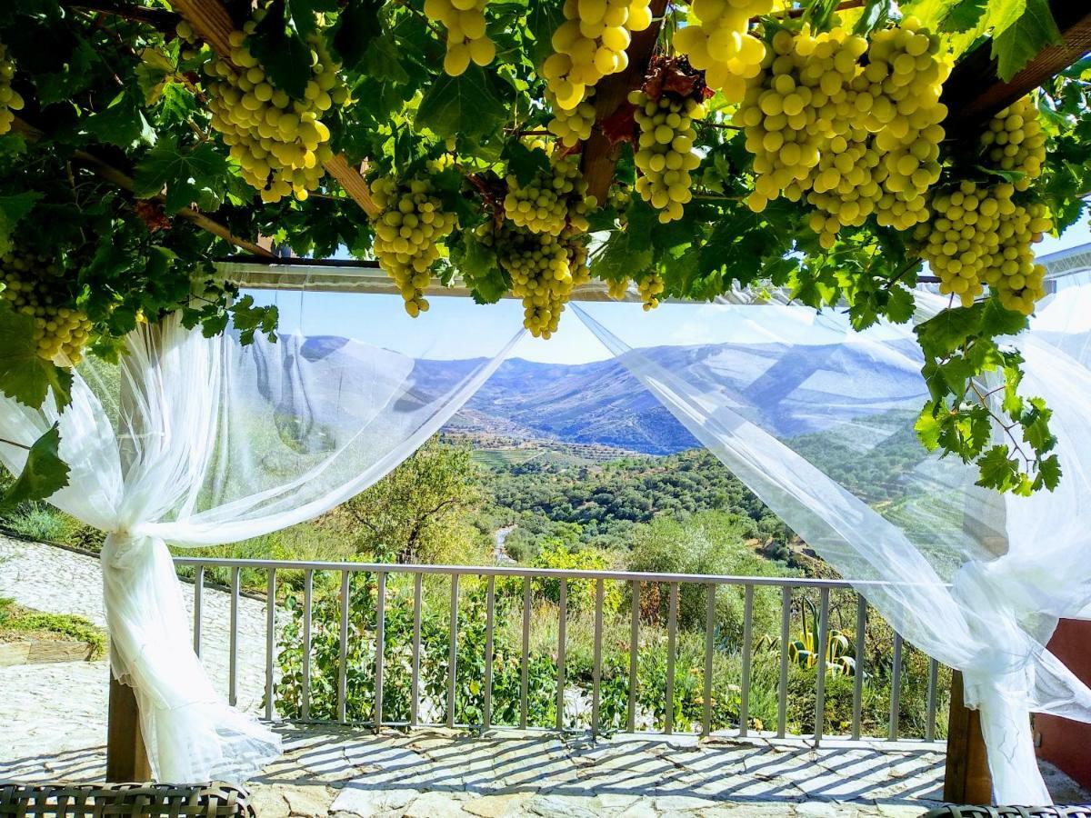 Quinta Vale De Carvalho ξενώνας Pinhal do Douro Εξωτερικό φωτογραφία