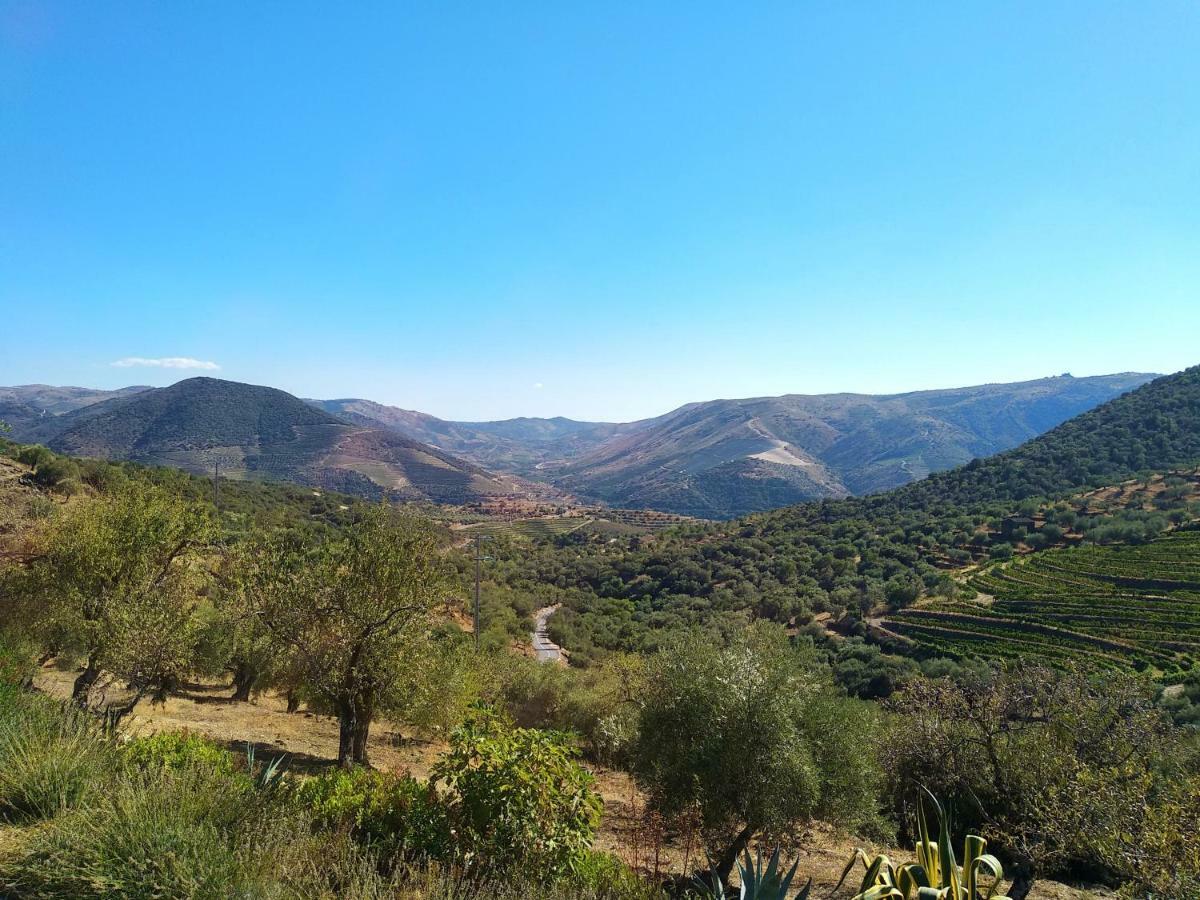 Quinta Vale De Carvalho ξενώνας Pinhal do Douro Εξωτερικό φωτογραφία